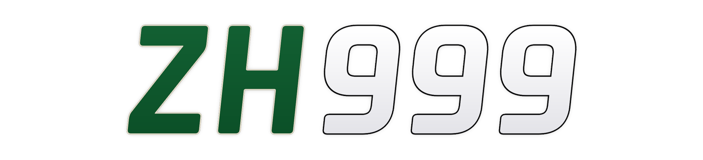 zh999